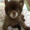 の写真