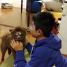 の写真