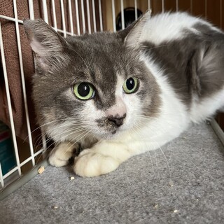 ずっとのおうちがみつかりました(^^)