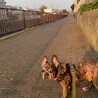 の写真