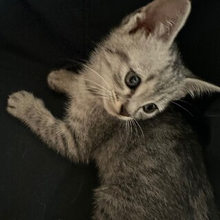 綺麗なイケメン　やっくん