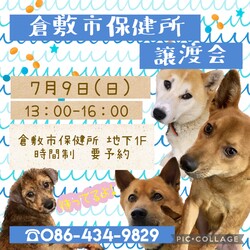 倉敷市保健所　収容犬猫譲渡会