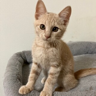 9/14さいたま市南浦和参加　ブラン君