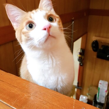 の写真