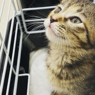 甘えん坊な女の子！