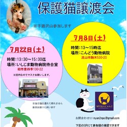 流山市駒木☆こんどう動物病院☆保護ねこ譲渡会☆ＮＰＯにゃん2