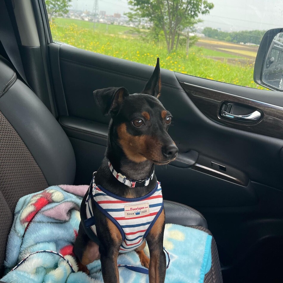 ロイのカバー写真