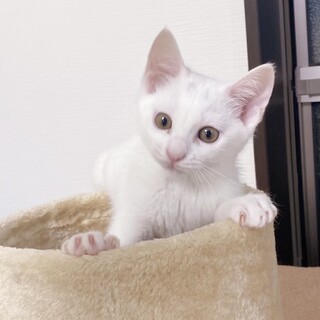 7/23稲毛海岸ෆ⃛可愛い姉妹ෆ⃛おとちゃん