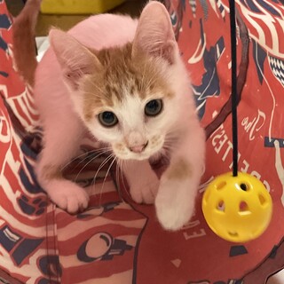 おちゃめなズーマ君♡