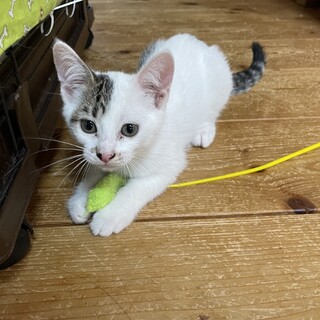 みんな大好き♡エレちゃん♡