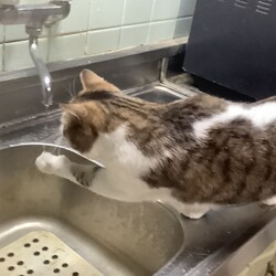 水さわるの好きやね〜