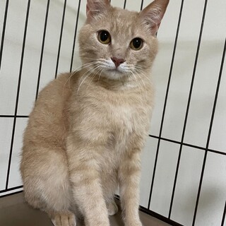 甘えん坊！ベタ慣れです！