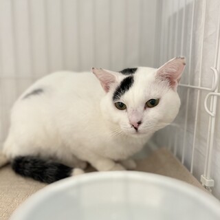 甘えん坊のむぎくん！