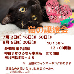 刈谷地域ねこの会　譲渡会