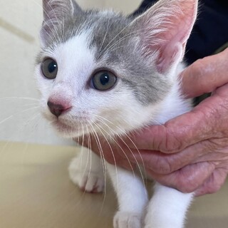 仲良し５兄弟♡キヨちゃん