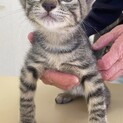 仲良し５兄弟♡ウミ君
