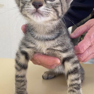 仲良し５兄弟♡ウミ君