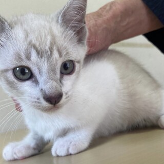 仲良し５兄弟♡サキちゃん