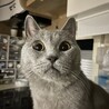 の写真