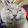 の写真
