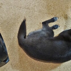 ベストポジション