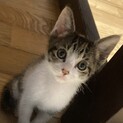 ありがとうございました
