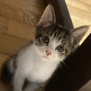 ありがとうございました