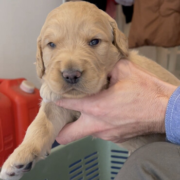 2021年5月　 初のご対面♪　君はほぼ寝てましたね（笑）
