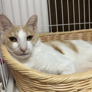 〝ムー君〟です♪