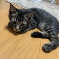 素敵な家族と出会えました