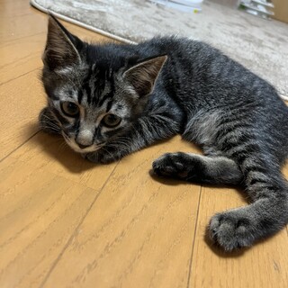 素敵な家族と出会えました