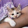 背中に２つの柄を持つ女の子「モツちゃん」 サムネイル2