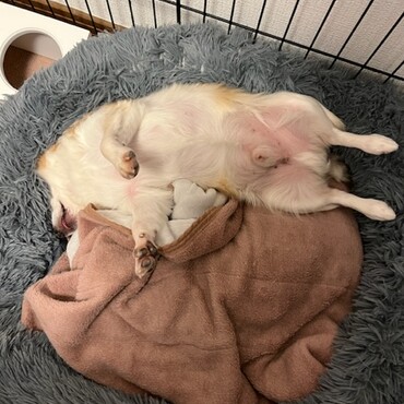 恥ずかしい(//∇//)