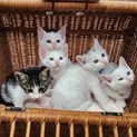 甘えん坊☆元気で可愛い兄妹