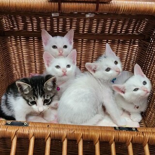 甘えん坊☆元気で可愛い兄妹