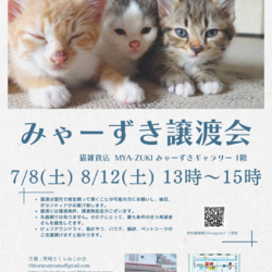 みゃーずき譲渡会
