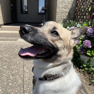 家族が決まりました！