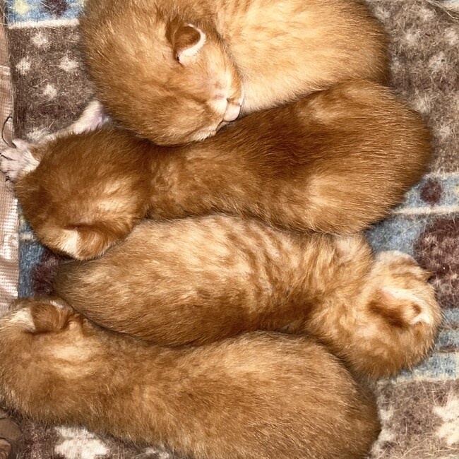 裕介　のカバー写真