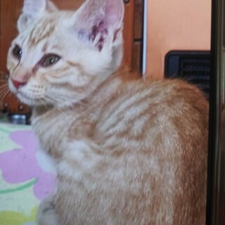 カメラ目線には遠いですが