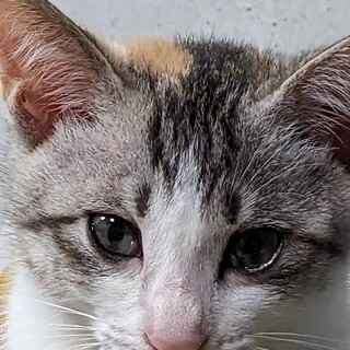 緊張しています