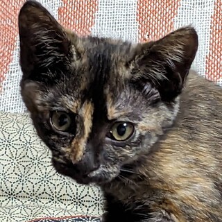 その手で抱っこして