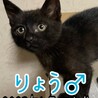 里親決定しました サムネイル4