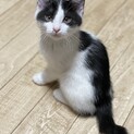 もうすぐ３ヶ月の男の子