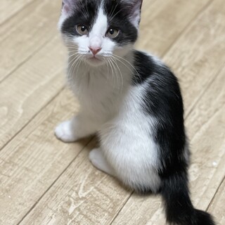 もうすぐ３ヶ月の男の子