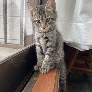 元気いっぱいの男の子