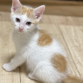 ２ヶ月の男の子