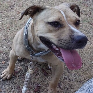 可愛がってくださる方