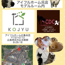 犬ねこ譲渡会inアイフルホーム呉店