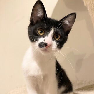 ホクロが可愛い甘えん坊♡なをちゃん