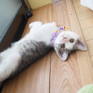 人馴れ抜群の前髪くん♪